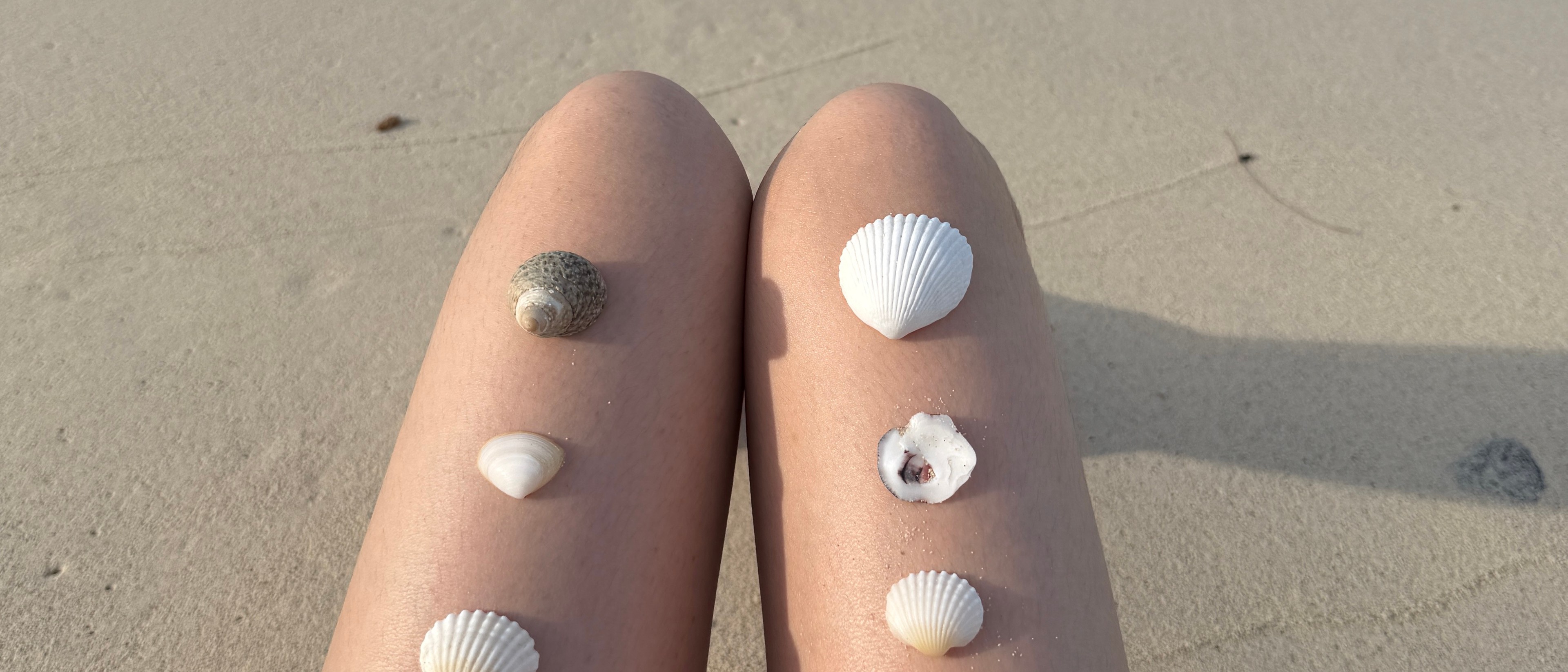 profile-background-img