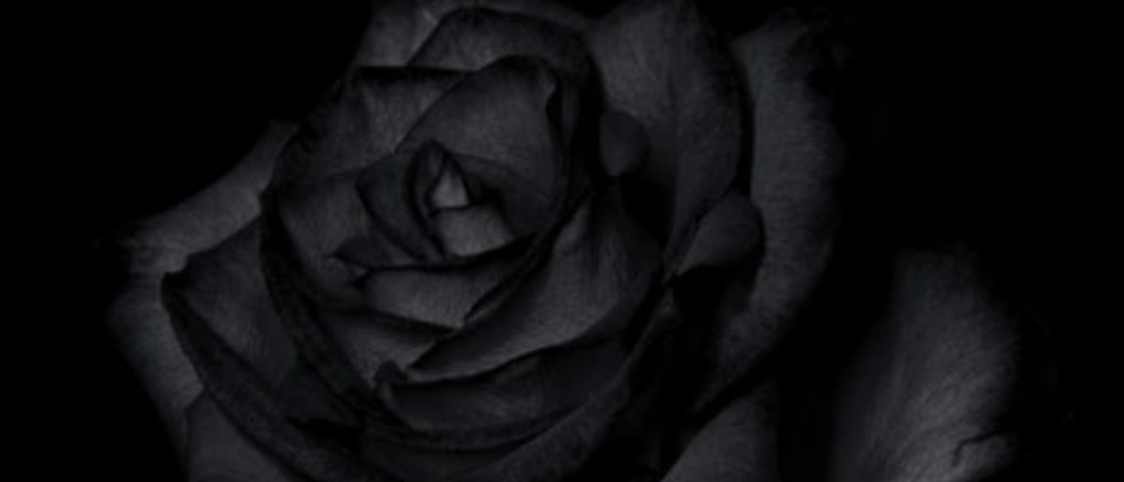 profile-background-img