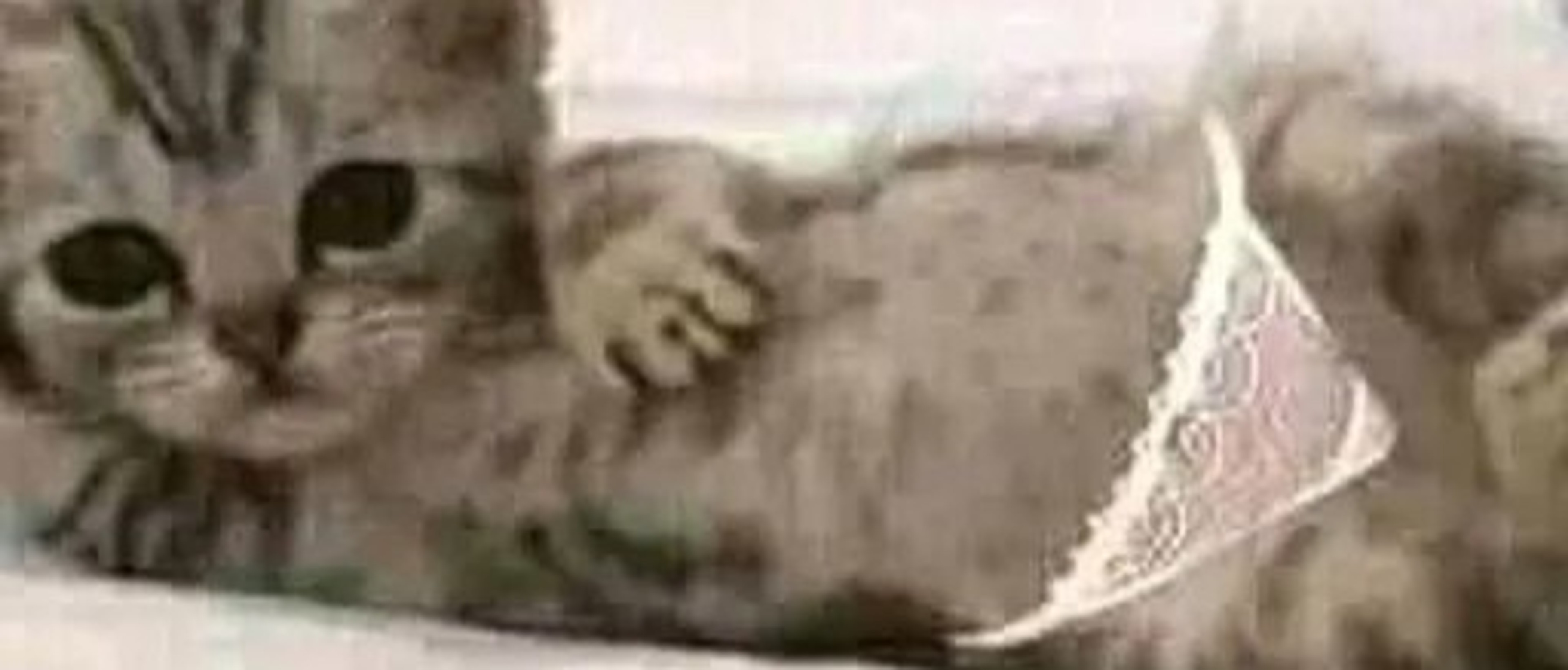 profile-background-img