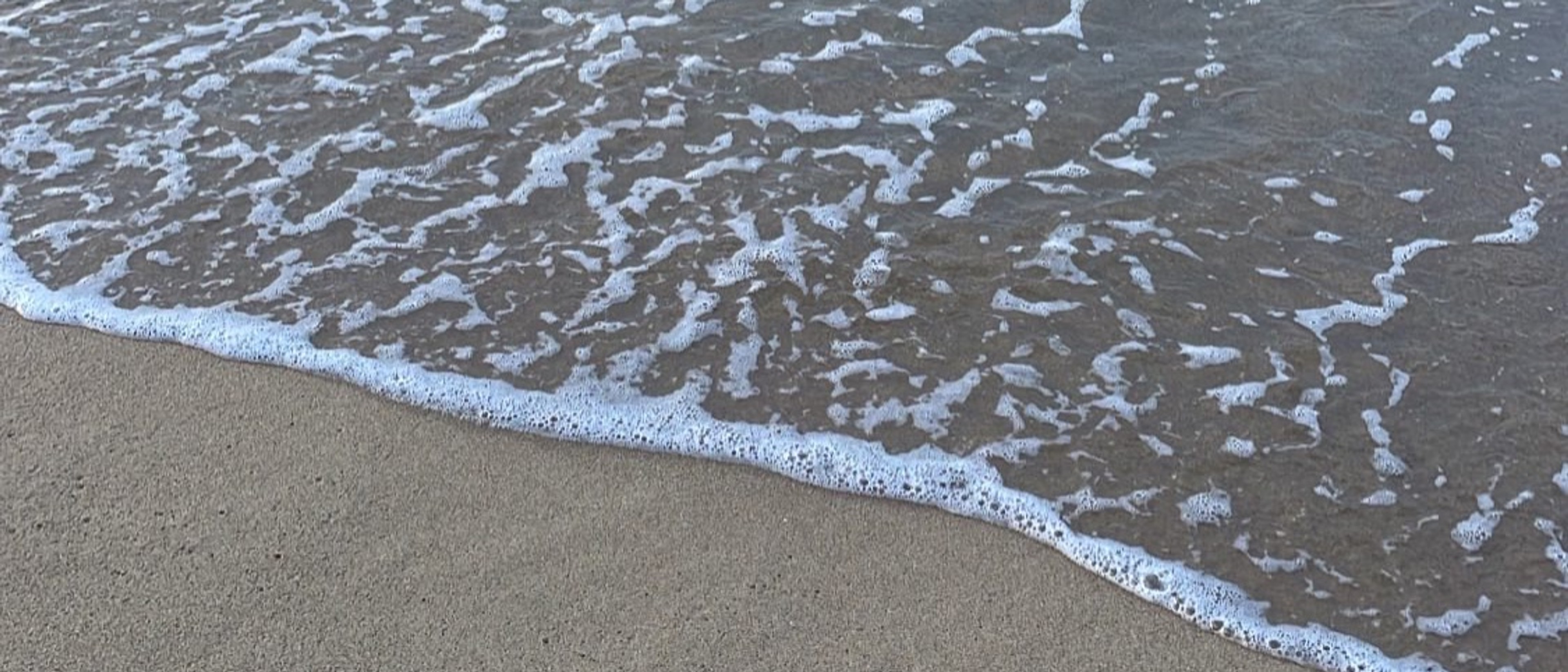 profile-background-img