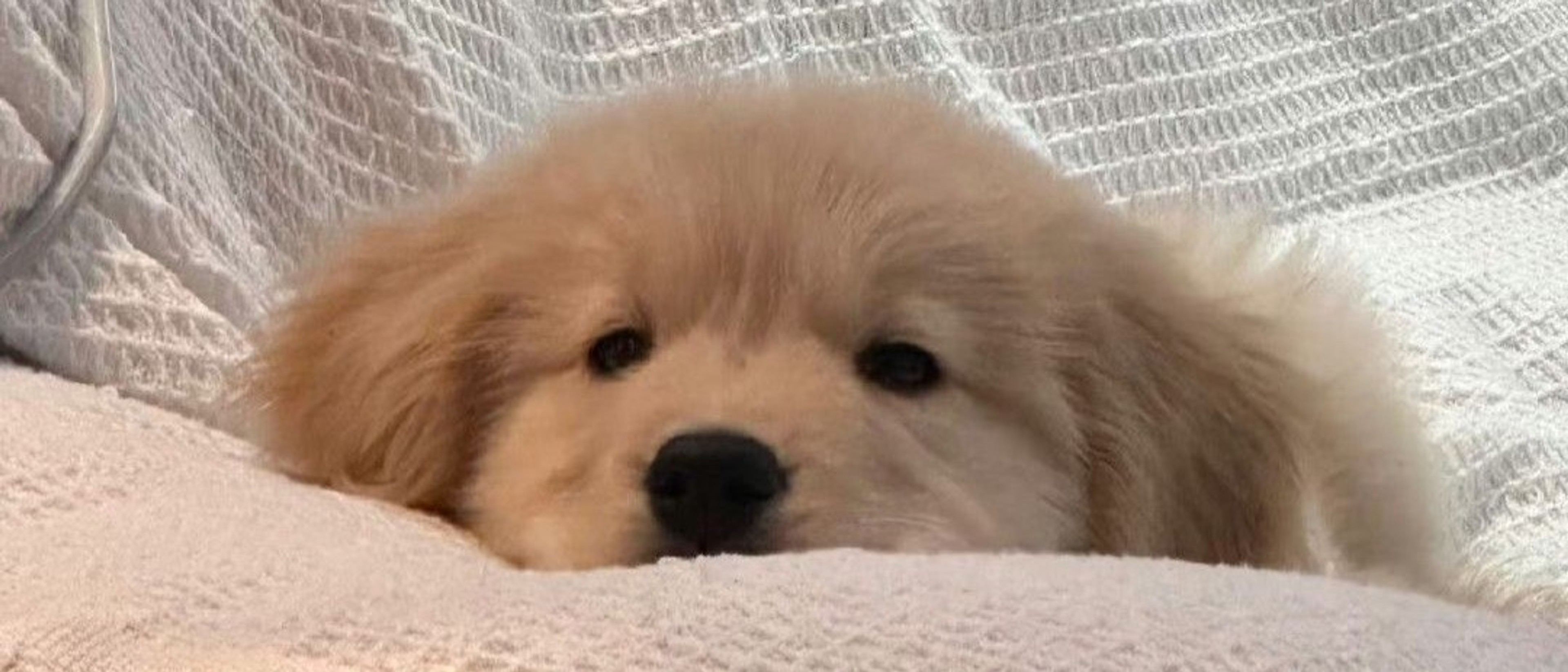 profile-background-img