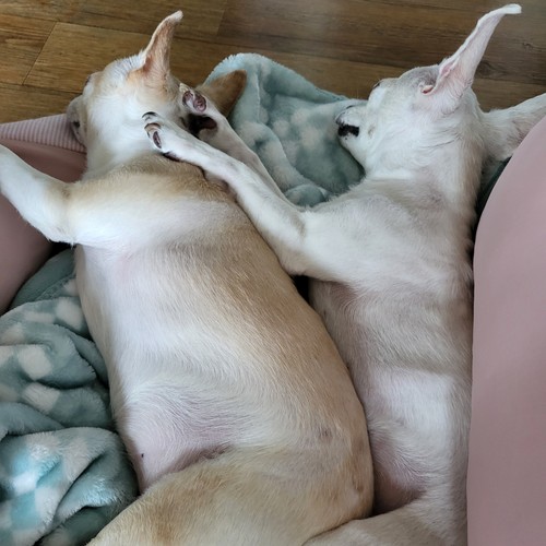 하늘아래인연