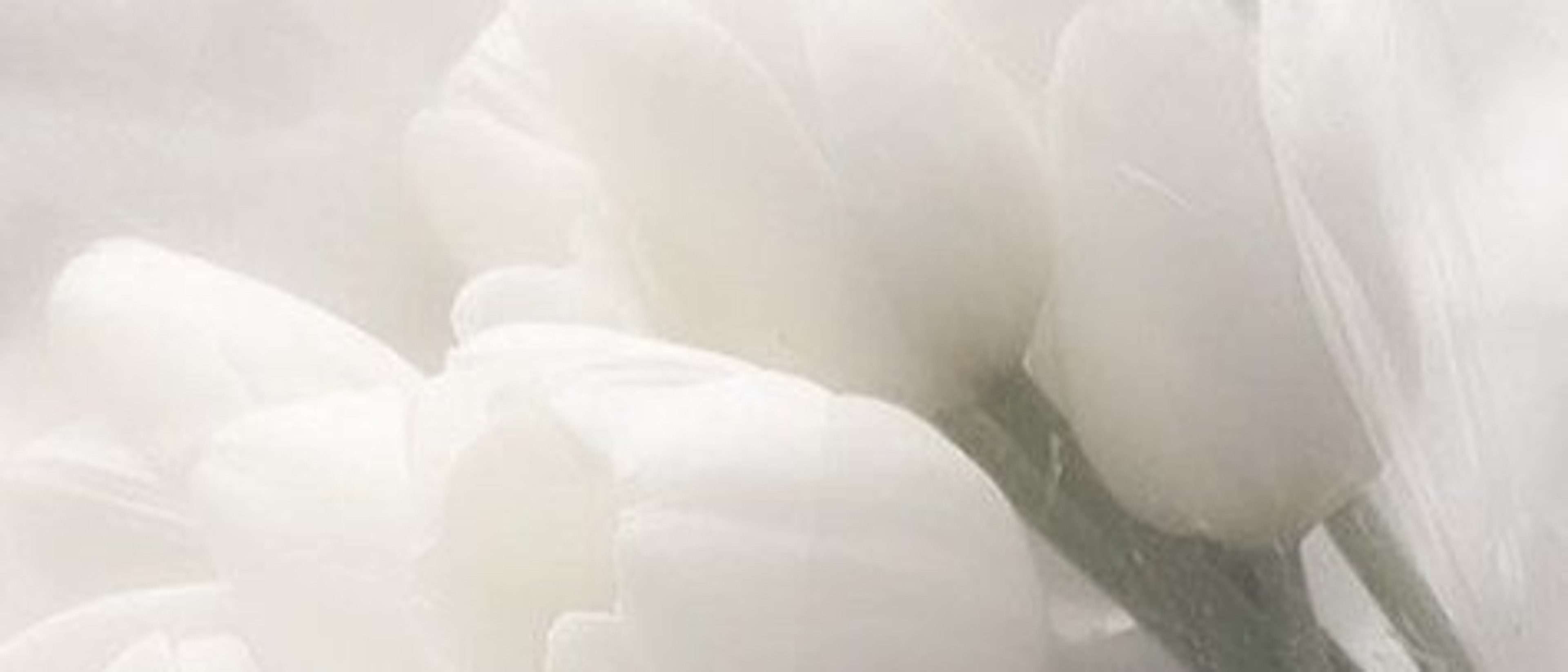 profile-background-img